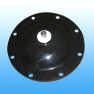 NM-R15